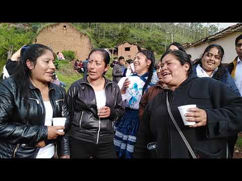 APACAPUY APACAPUY - CACHORINO🤣🤩🎉