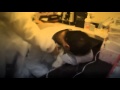 Madad Ya Ali Ishqe Haider Nauha By Ali Safdar Noha 1433 Hijri 2013