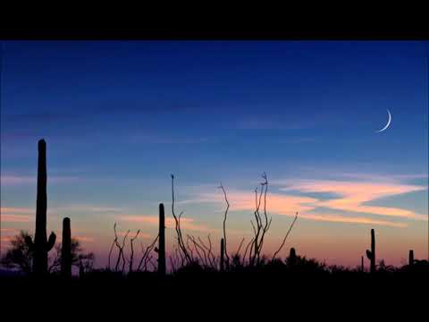 Psychedelic / Stoner / Desert Rock - Playlist 13 (REUPLOAD)