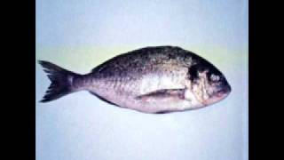 Clepsydra Travel of Dream part 1-2-3