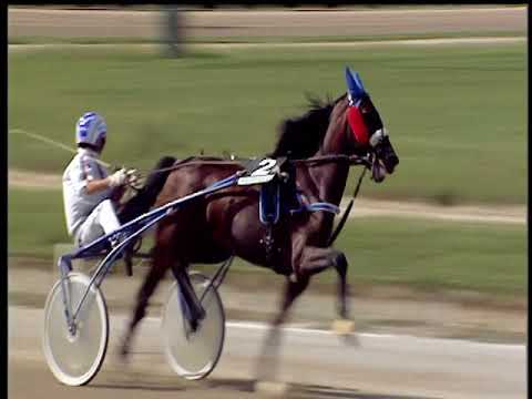 Trotto 07/09/2018 - 1ª corsa