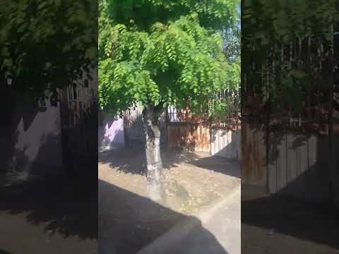 tibu-Norte santander