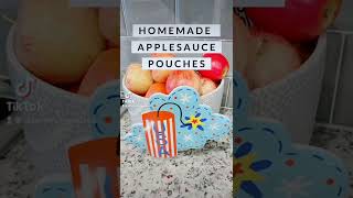 Homemade Applesauce Pouches