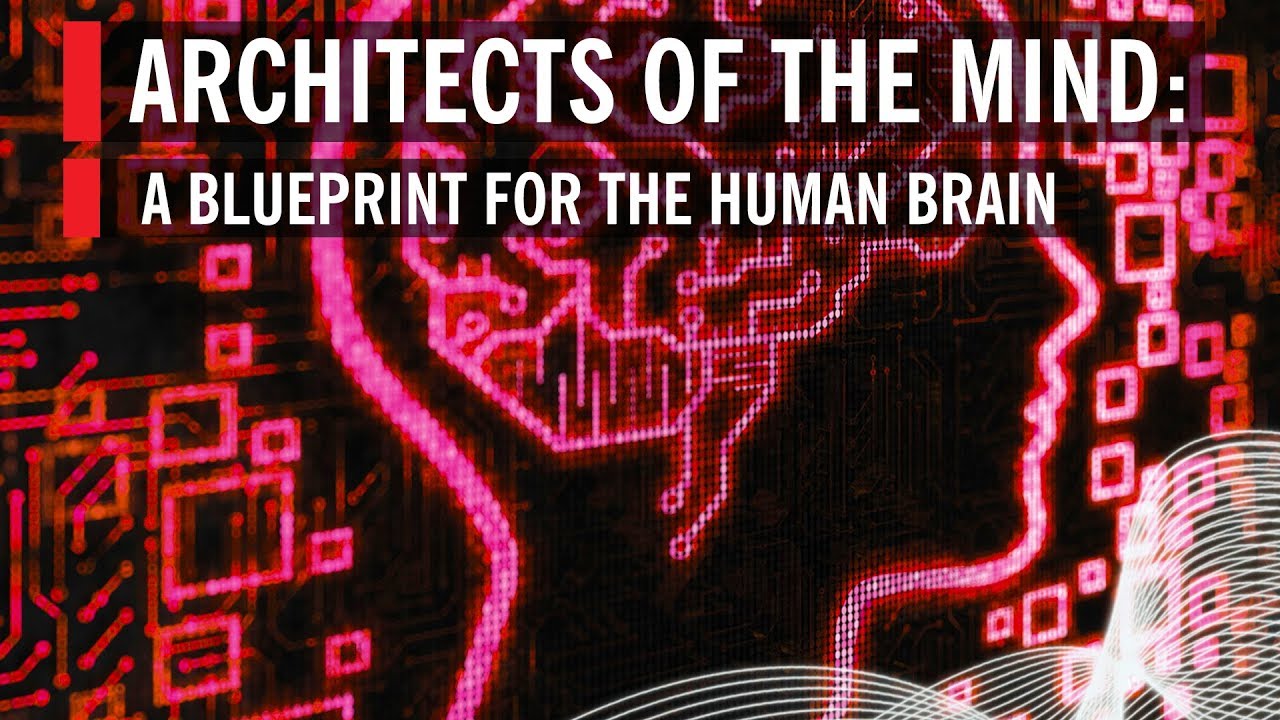 Architects of the Mind: A Blueprint for the Human Brain