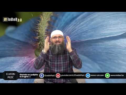 Šta je Allahova odredba, a šta je naša slobodna volja ?