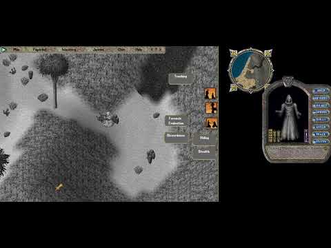 Ultima Online   AnljWache UO Evolution 10 6 2018 3 09 31 AM