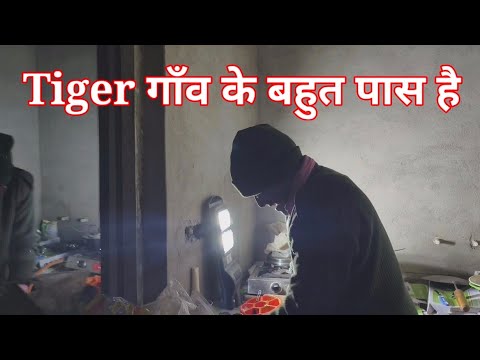 Night Stay Jim Corbett National Park | Animals | Discovery | Audiobook | Documentary in Hindi