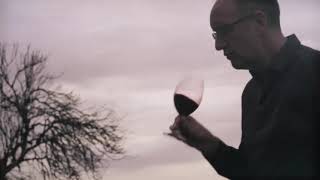 Wakefield Wines Our Story by Mitchell Taylor