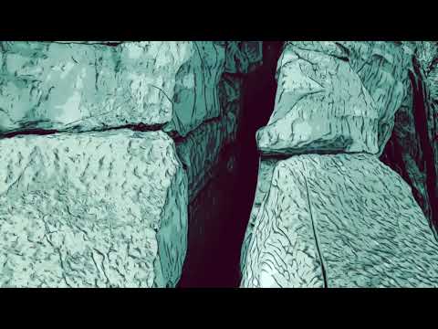 Martin Jarl - Zoologiska