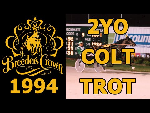 1994 Breeders Crown - Eager Seelster - 2YO Colt Trot