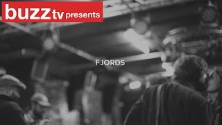 Buzz Acoustics 'FJORDS'