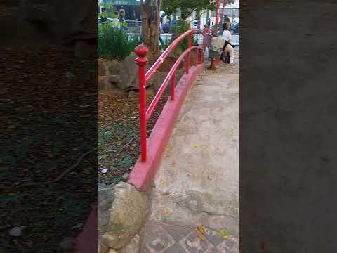 pracinha no bairro da Liberdade em São Paulo centro SP #viralvideo #liveblogging #brazil #viralshort
