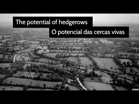 Increasing Growth and Biodiversity - Floral Borders