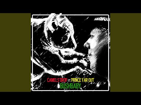 Bushbaby (feat. Prince Far Out)