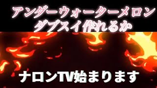 Netflixアンダーウォーターメロン