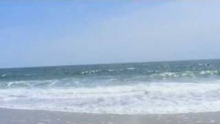 &quot;Me by The Sea&quot; by Edie Brickel and The New Bohemians