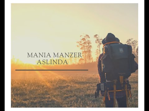 Mania Manzer -Aslında (2015)