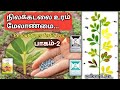 நிலக்கடலை மல்லாட்டை இந்த உரமே போதும்