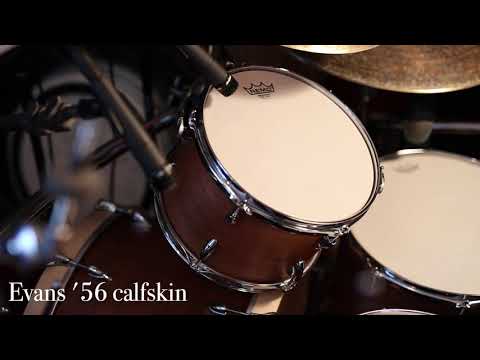 5 different tom drum reso bottom head comparison. diplomat vs ambassador vs coated vs ebony etc...