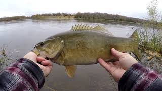 Chatterbait Smallmouth Bass