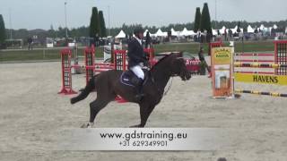 Video of Cloney's Pleasure