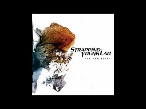 Strapping Young Lad - Almost Again