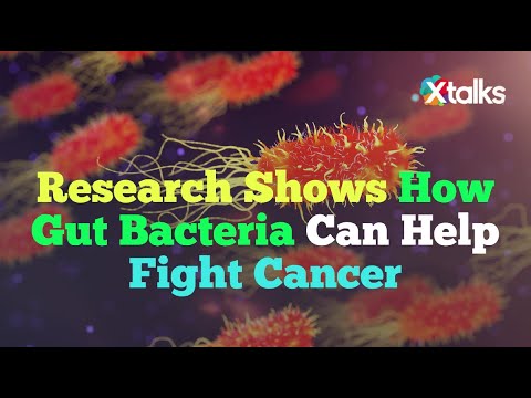 Research Shows How Gut Bacteria Can Help Fight Cancer