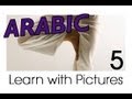 Learn Arabic - Arabic Body Parts Vocabulary