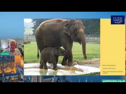 ZSL London Zoo: The World's Oldest is Back!