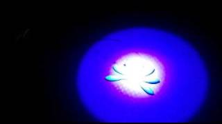 manuel doradas.plomos pintados,plomos luminiscentes,manualidades,luz ultravioleta.MP4