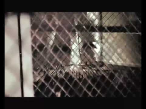 FRANRIMEURS feat AMO, MAMDOO, KARNA, FAKEN & SHAYNESE - forcer les barrages