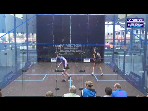 VICTOR Squash Bundesliga Austria Damen 2016/17