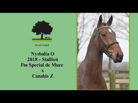 15. Nyrbalia O (I'm Special de Muze x Canabis Z)