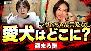 さとうさおり氏　千代田区欠員！政治活動を言い訳に捨てた愛犬　言及なし！絶望的か？運転手逮捕説