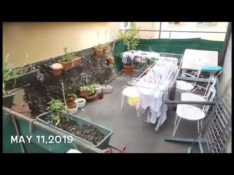 Vlog #21.  Buying flowers for our terrace/my daughter playing volleyball