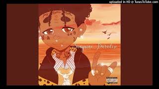 Lil Uzi Vert - Sanguine Paradise (Official Instrumental) (Prod. Oogie Mane &amp; Brandon Finessin)