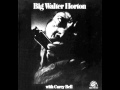 Careless Love - Big Walter Horton