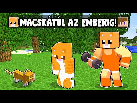 A MACSKÁM KORMI EMBER LETT A MINECRAFT-BAN! 😱