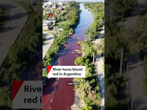 Sarandí river turns blood red in Avellaneda, Argentina
