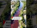 Sarandí river turns blood red in Avellaneda, Argentina