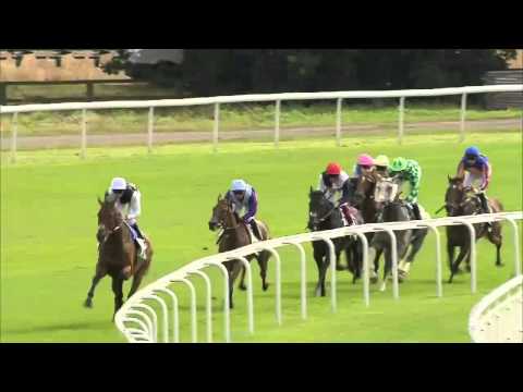 Dubawi's Arabian Queen wins the G1 Juddmonte International Stakes