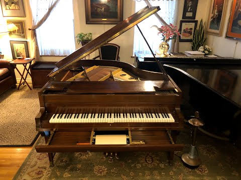 Welte Roll: Get Out and Get Under the Moon   SD 480p