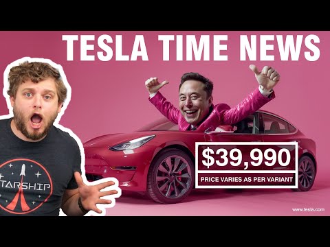 Get This Tesla For Under $40,000 | Tesla Time News 407