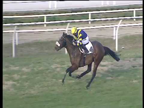 Galoppo 20/12/2017 - 2ª corsa