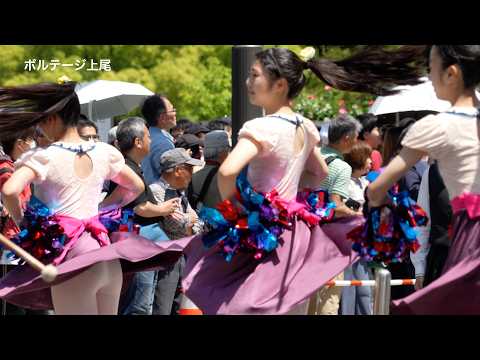 「チアリーダー」 チアリーダーが見せる楽しいダンスを見逃すな‼️
