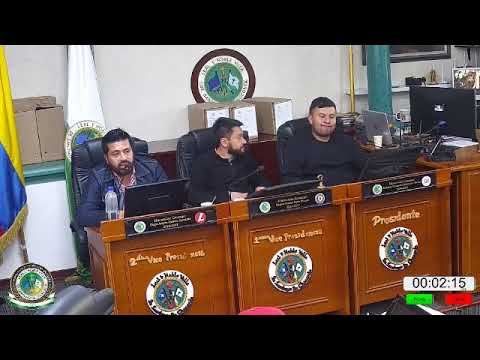 Sesion Plenaria extraordinaria  de fecha 28 de julio  de 2026