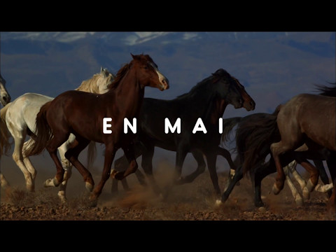 En Mai sur ANIMAUX BisTV via AERVI Boutique