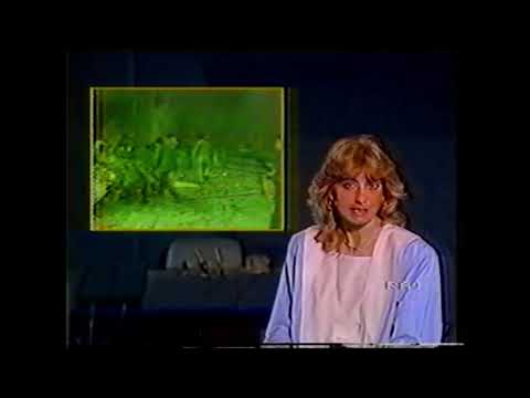 Attentato Ambasciata Stati Uniti a Beirut in Libano del 18 aprile 1983 - Servizio Tg1