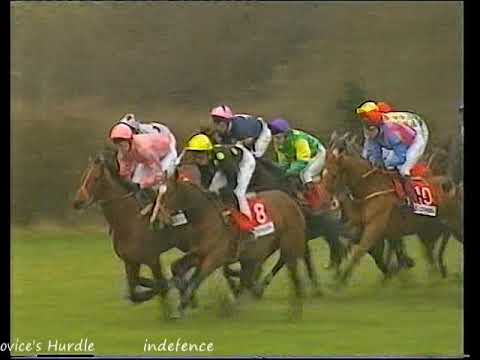 1996 Supreme Novice's Hurdle  Indefence