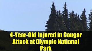 4-Year-Old Injured in Cougar Attack at Olympic National Park